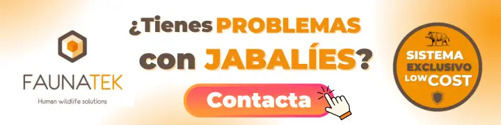 Problemas con Jabalies contacta con Faunatek