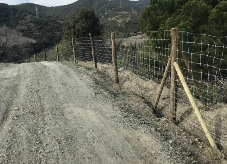 Cercados-para-cabras-soluciones-duraderas-y-economicas
