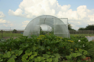 Proteccion-invernal-de-cultivos-contra-fauna