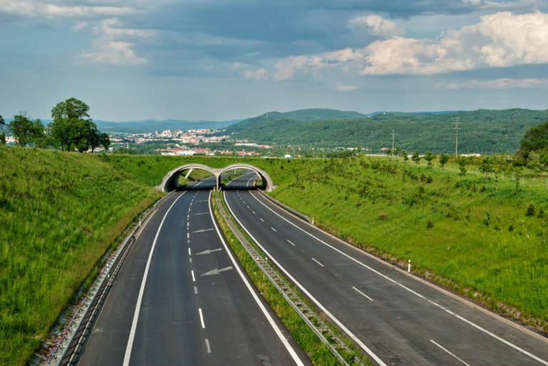 Ciudades-conectadas-los-nuevos-corredores-ecologicos