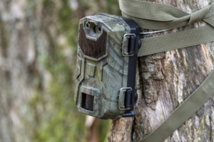 Camaras-trampa-para-fauna-como-funcionan-y-que-logran