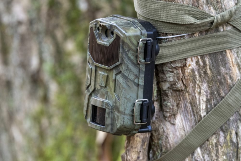 Camaras-trampa-para-fauna-como-funcionan-y-que-logran